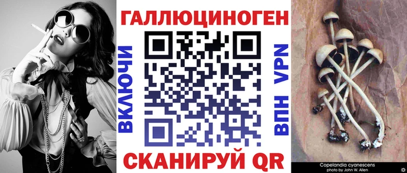 Галлюциногенные грибы Psilocybe  Купить  Нязепетровск 